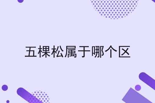 五棵松属于哪个区