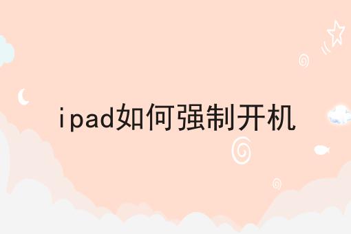 ipad如何强制开机