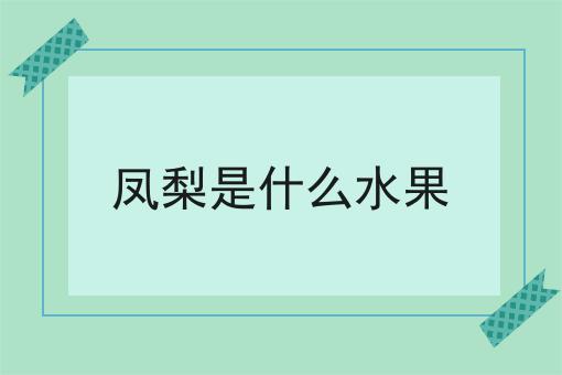 凤梨是什么水果