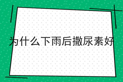 为什么下雨后撒尿素好