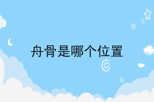 舟骨是哪个位置