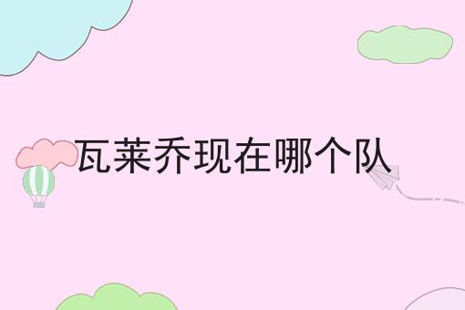 瓦莱乔现在哪个队