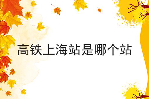 高铁上海站是哪个站