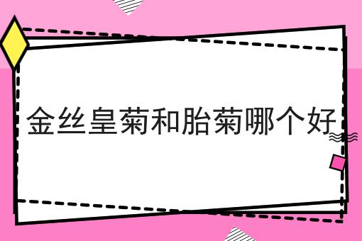 金丝皇菊和胎菊哪个好