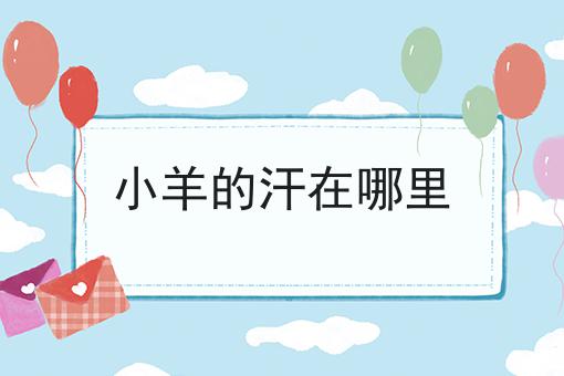 小羊的汗在哪里