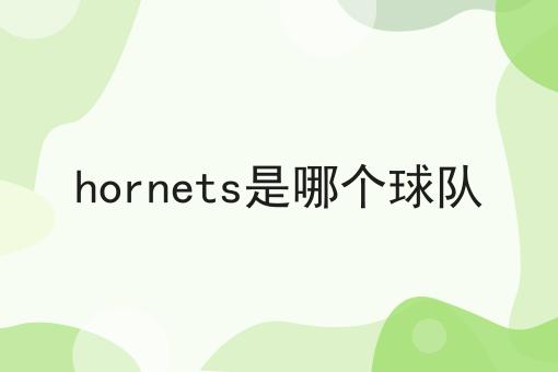 hornets是哪个球队