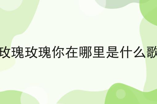 玫瑰玫瑰你在哪里是什么歌