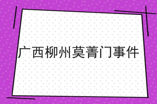 广西柳州莫菁门事件