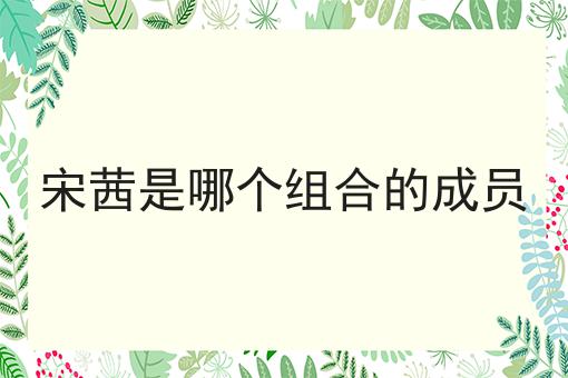 宋茜是哪个组合的成员