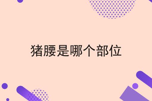 猪腰是哪个部位