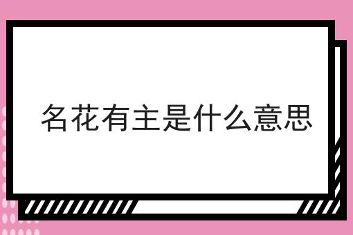 名花有主是什么意思