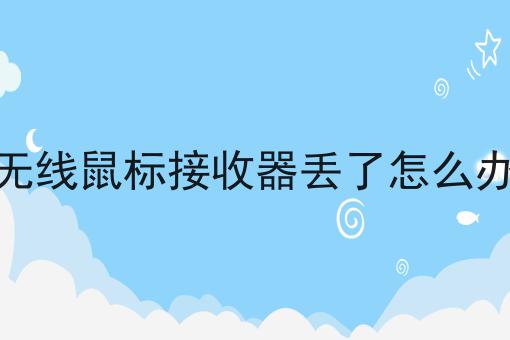 无线鼠标接收器丢了怎么办