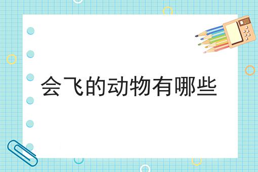 会飞的动物有哪些