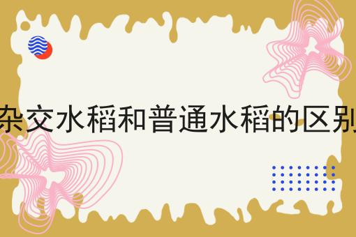 杂交水稻和普通水稻的区别