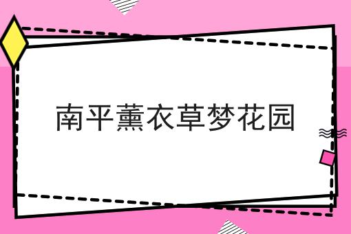 南平薰衣草梦花园