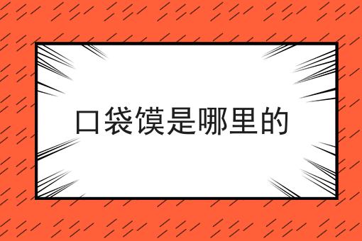 口袋馍是哪里的