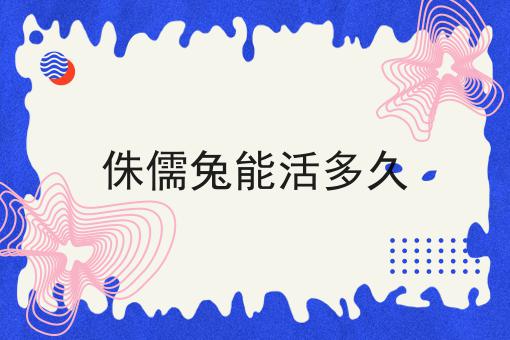 侏儒兔能活多久