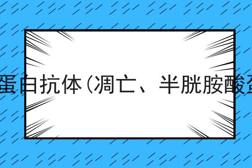不孚众望的意思