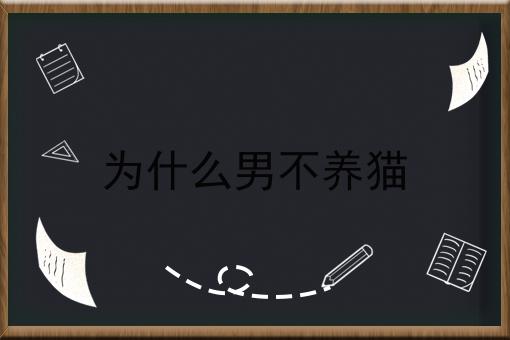 为什么男不养猫