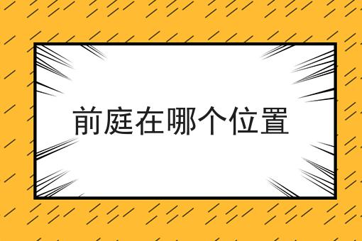 前庭在哪个位置