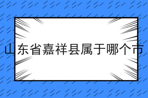 山东省嘉祥县属于哪个市