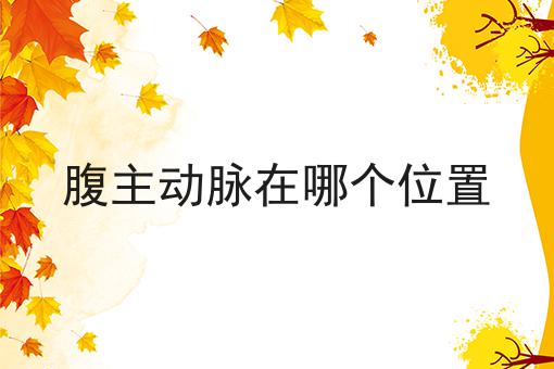 腹主动脉在哪个位置