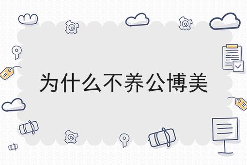 为什么不养公博美