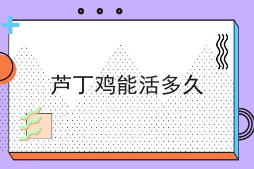 芦丁鸡能活多久
