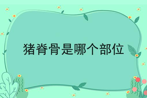 猪脊骨是哪个部位