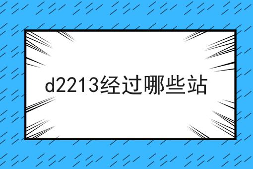 d2213经过哪些站