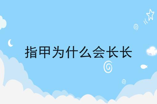 指甲为什么会长长