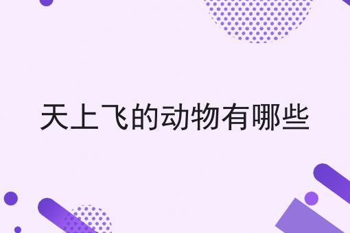 天上飞的动物有哪些