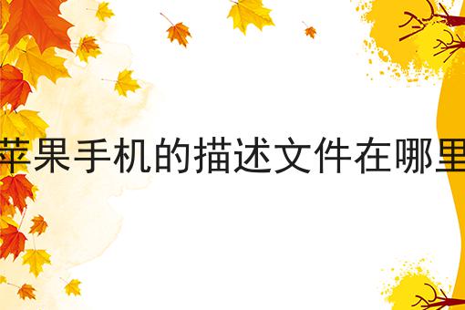 苹果手机的描述文件在哪里