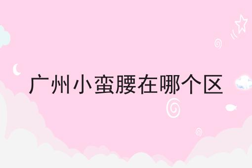 广州小蛮腰在哪个区
