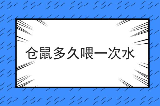 仓鼠多久喂一次水