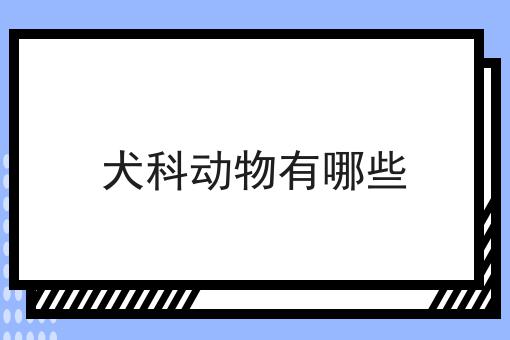 犬科动物有哪些