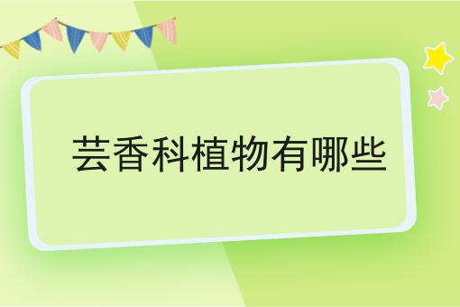 芸香科植物有哪些
