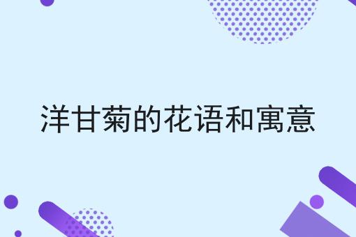 洋甘菊的花语和寓意