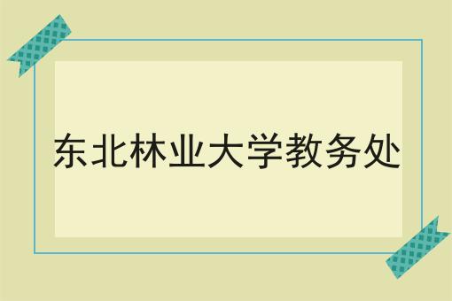 东北林业大学教务处