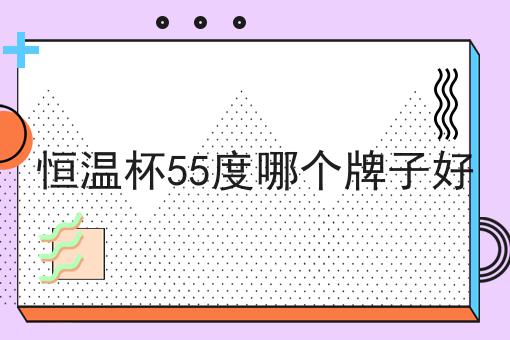 恒温杯55度哪个牌子好