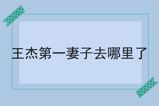 王杰第一妻子去哪里了