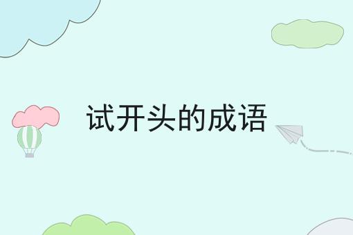 试开头的成语