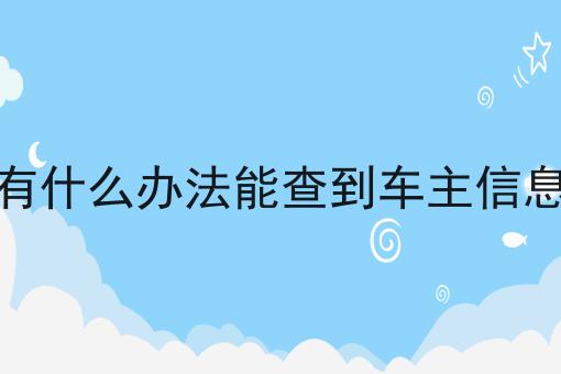 杨贤硕为什么叫杨菊花