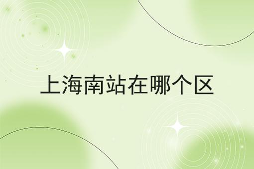 上海南站在哪个区