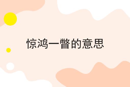 惊鸿一瞥的意思