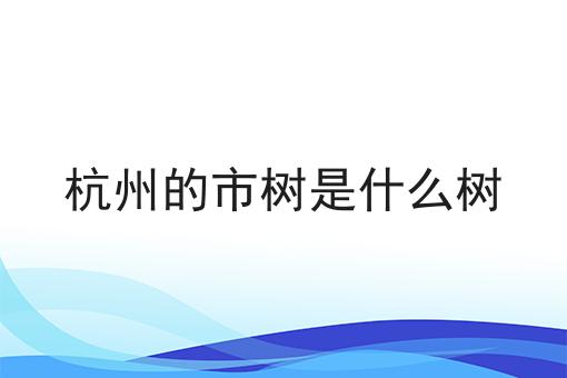 杭州的市树是什么树