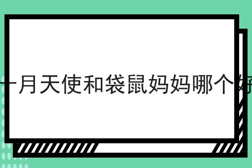 十月天使和袋鼠妈妈哪个好