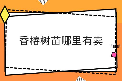 香椿树苗哪里有卖