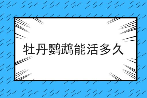 牡丹鹦鹉能活多久