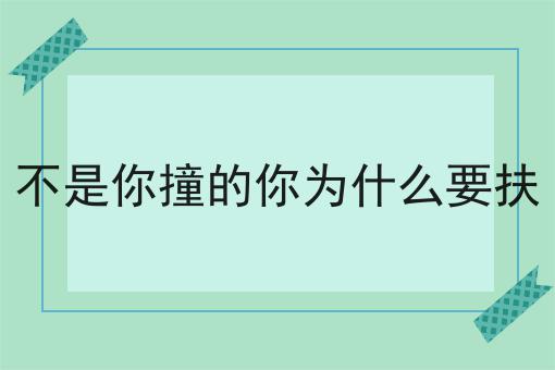 不是你撞的你为什么要扶